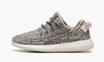 Yeezys Boost 350 “Turtle Dove”AQ4832